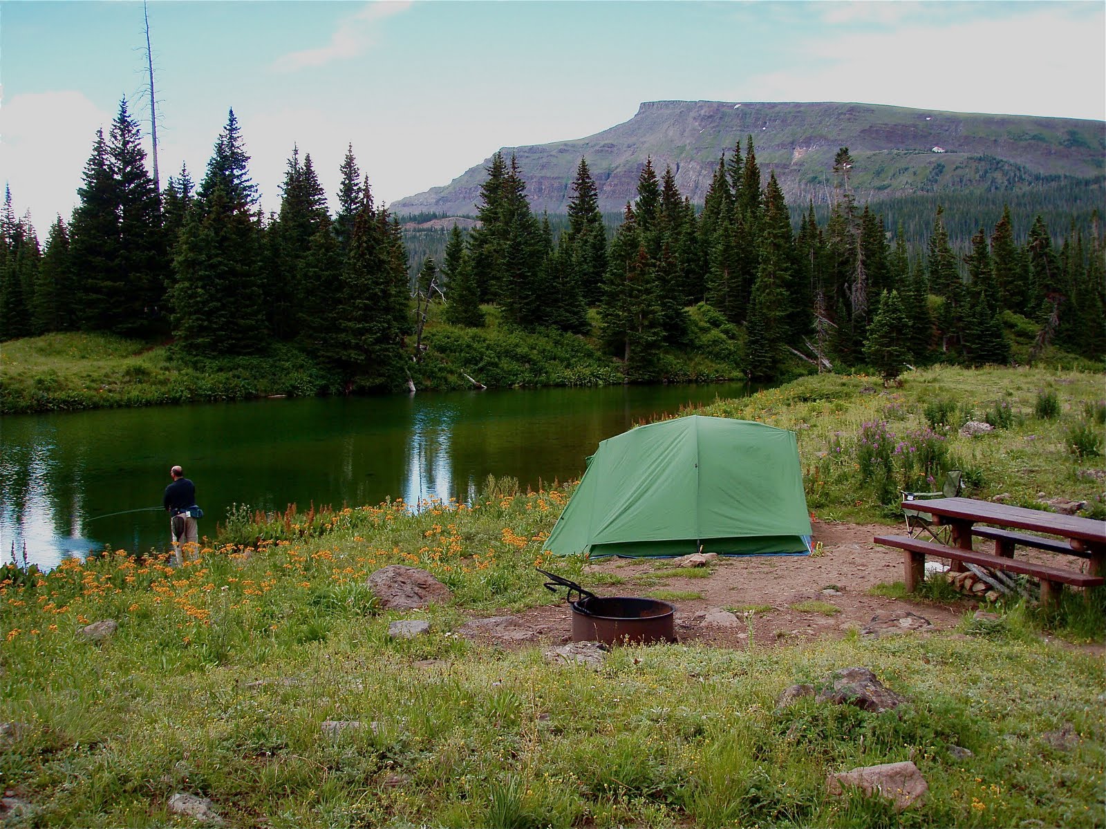 Springs Campground Go Camping America