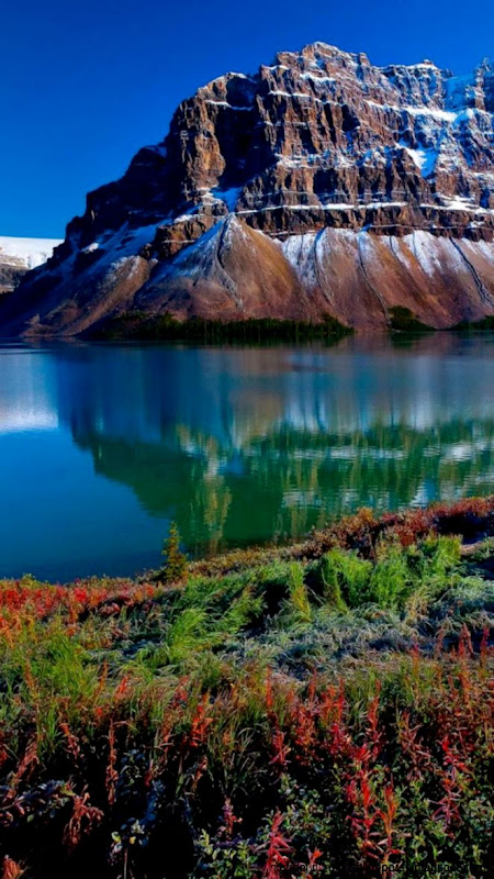 1080x1920 Wallpaper Mountains snow grass water plants sky 1080x1920 Wallpaper Mountains snow grass water plants sky