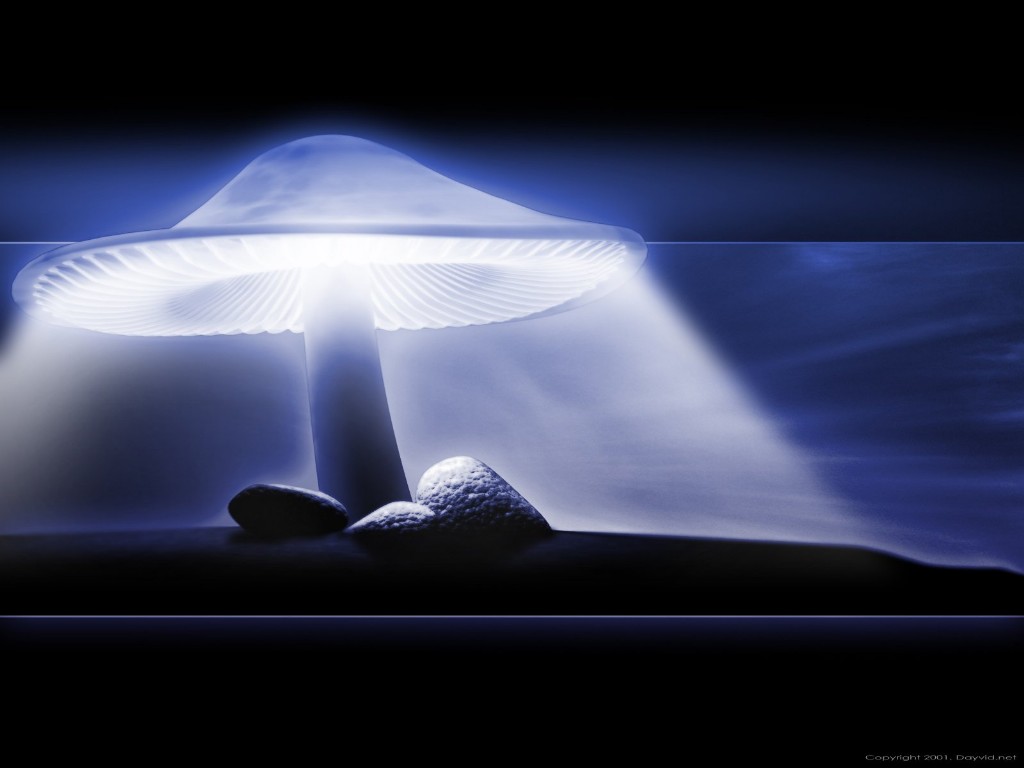 magical background for kids magical background for kids