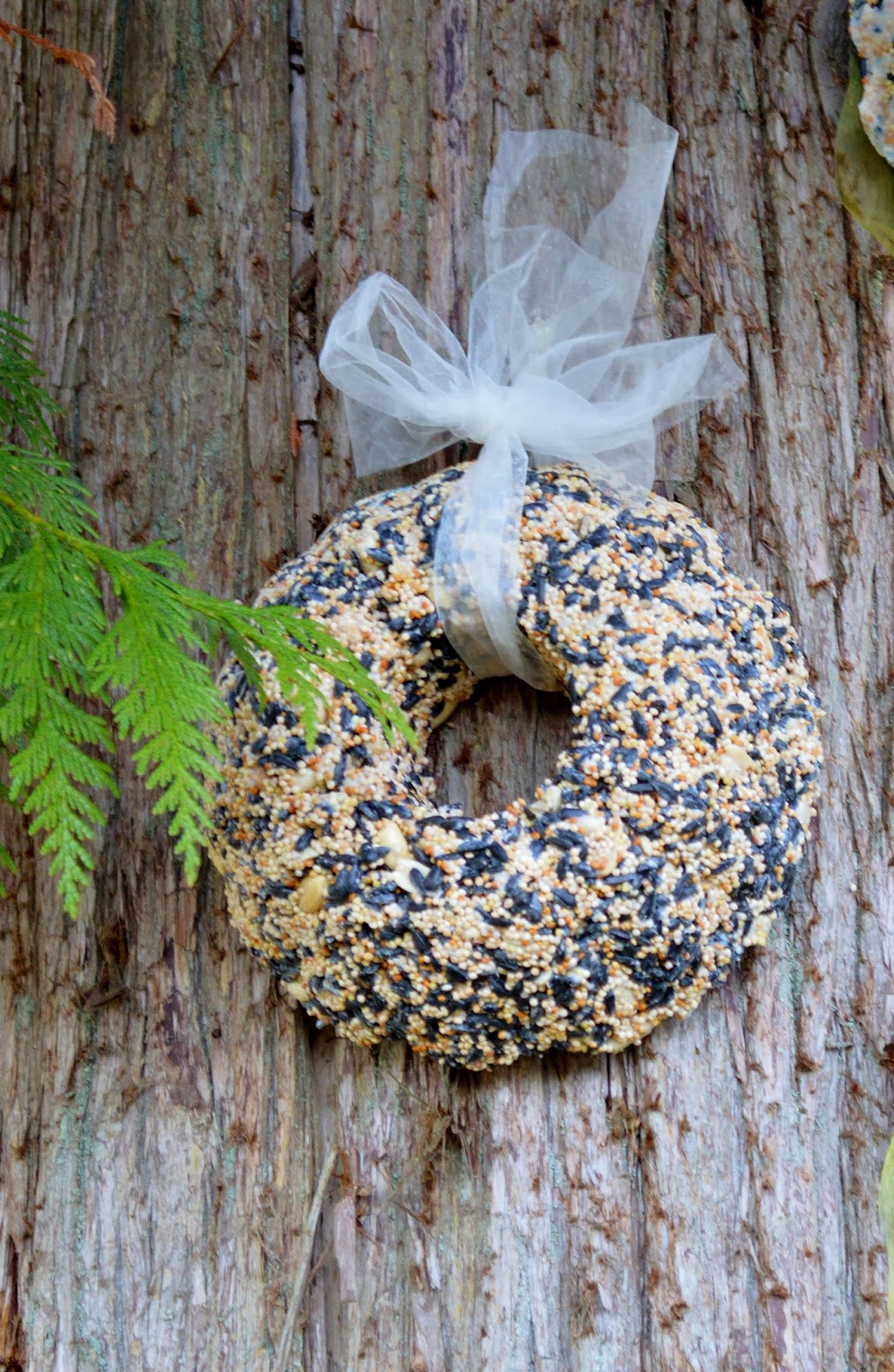The Nitty Gritty Potager Bird Seed Wreaths They're For The Birds