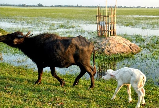 அதிசயம் ஆனால் உண்மை!!!! K3