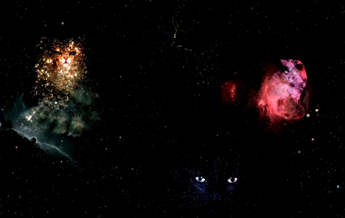 The Big Pugh — Jessamine needed a new cat background so I made The Big Pugh — Jessamine needed a new cat background so I made