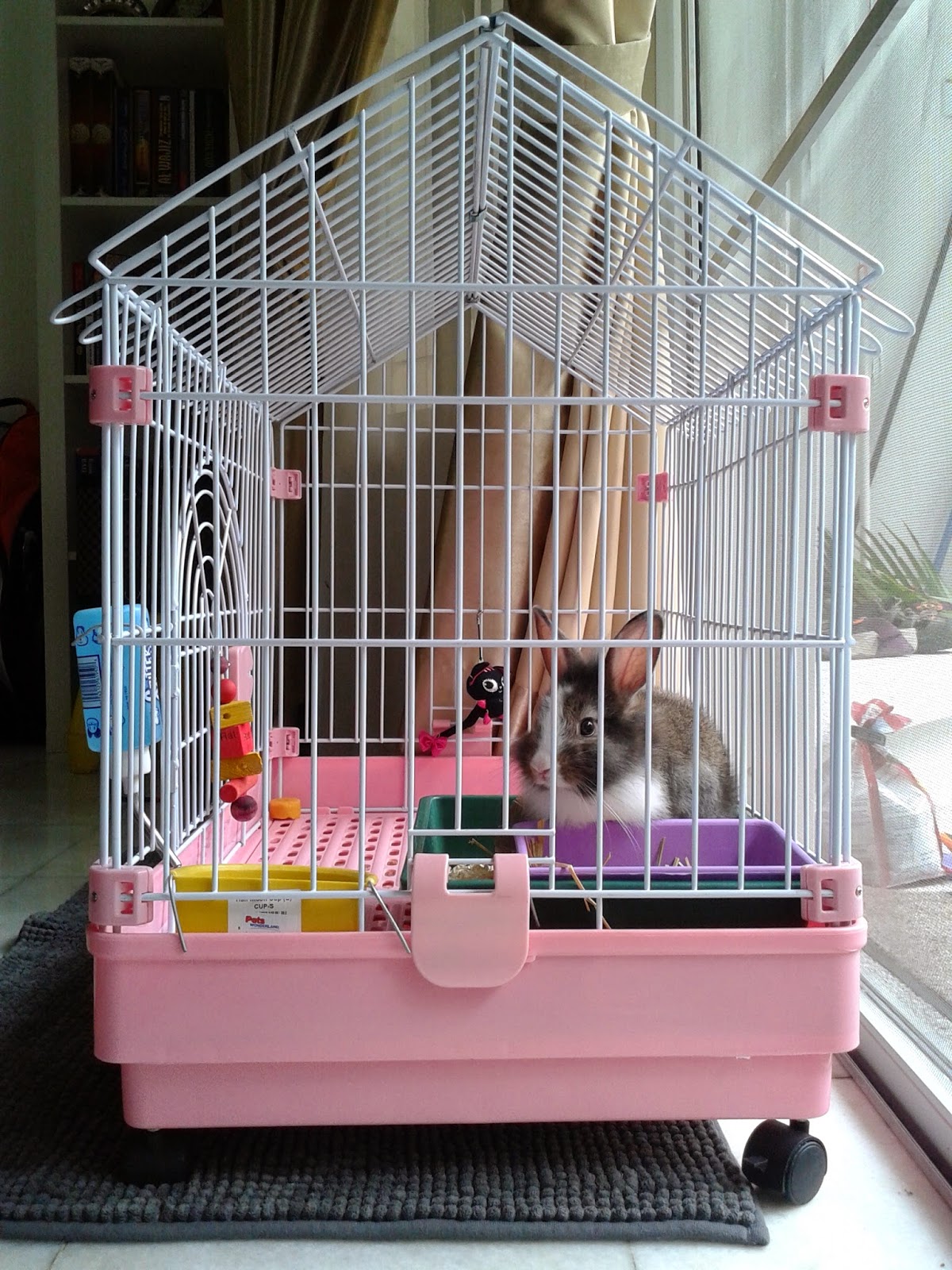 wire bottom rabbit hutch