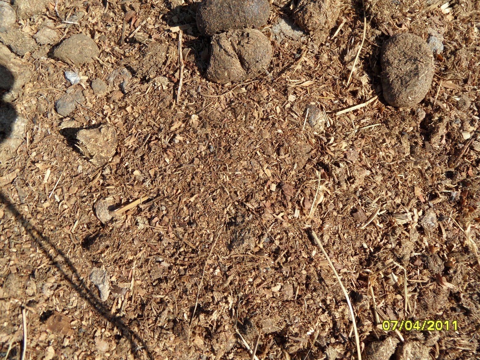 hacemos compost: 2011-06-12