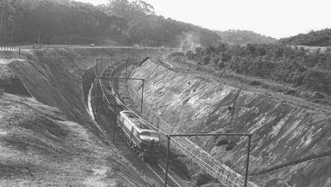 trem2.jpg