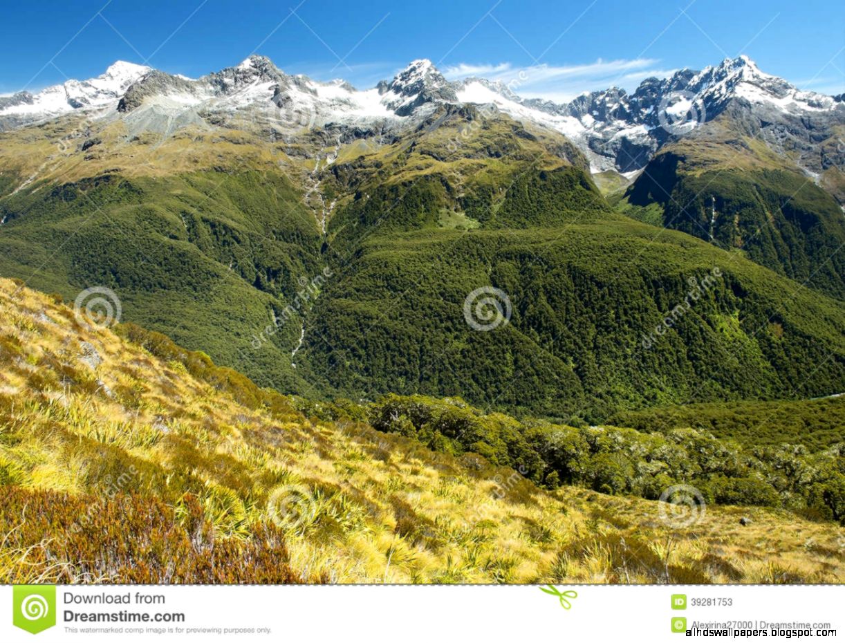 Magnificent Fabulous Scenery In New Zealand Stock Photo Image Magnificent Fabulous Scenery In New Zealand Stock Photo Image