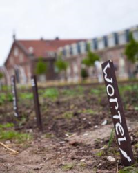 De Mobiele Moestuin Haarlem