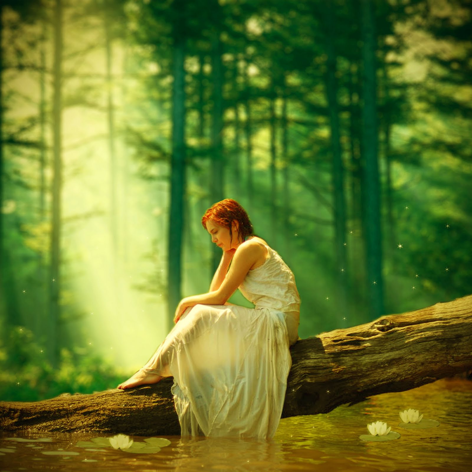 magical forest hours magical forest hours