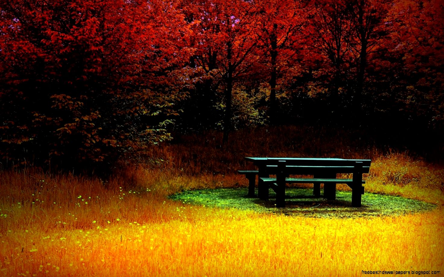 HD Wallpapers nature wallpapers hd wallpapers beautiful HD Wallpapers nature wallpapers hd wallpapers beautiful