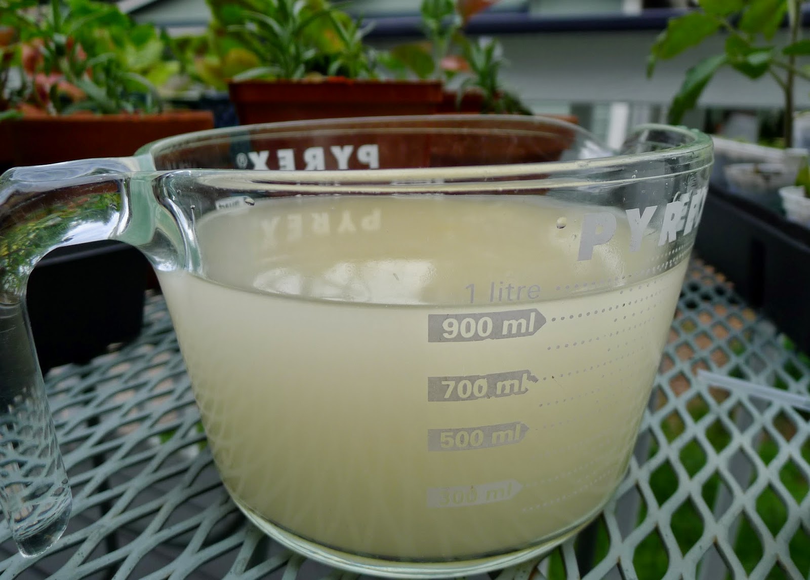 Less Noise, More Green Organic Pest Control Part 1 slugs, aphids and flea beetles the axis