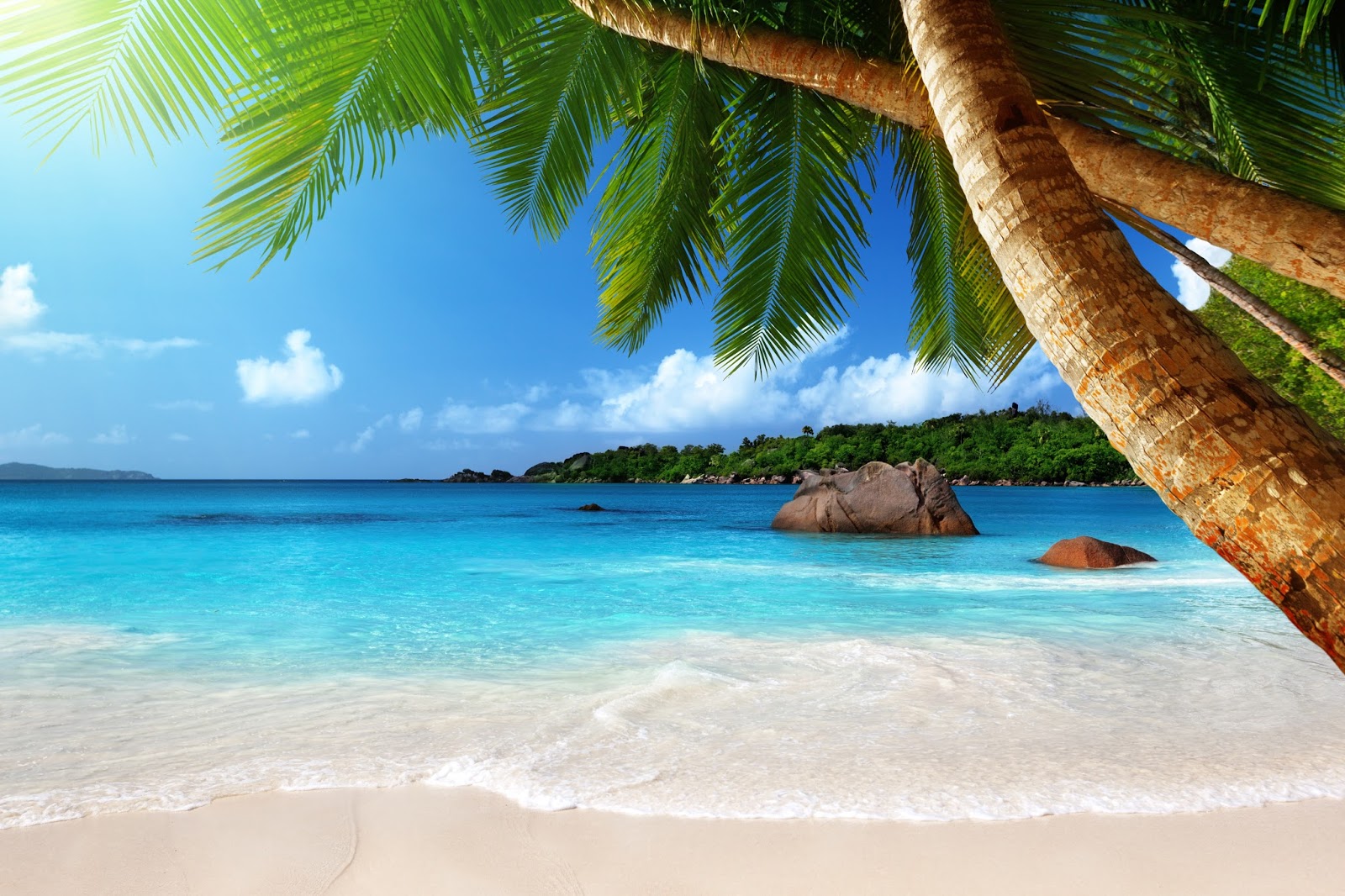 BANCO DE IMÁGENES: 30 fotos de playas tropicales con agua cristalina