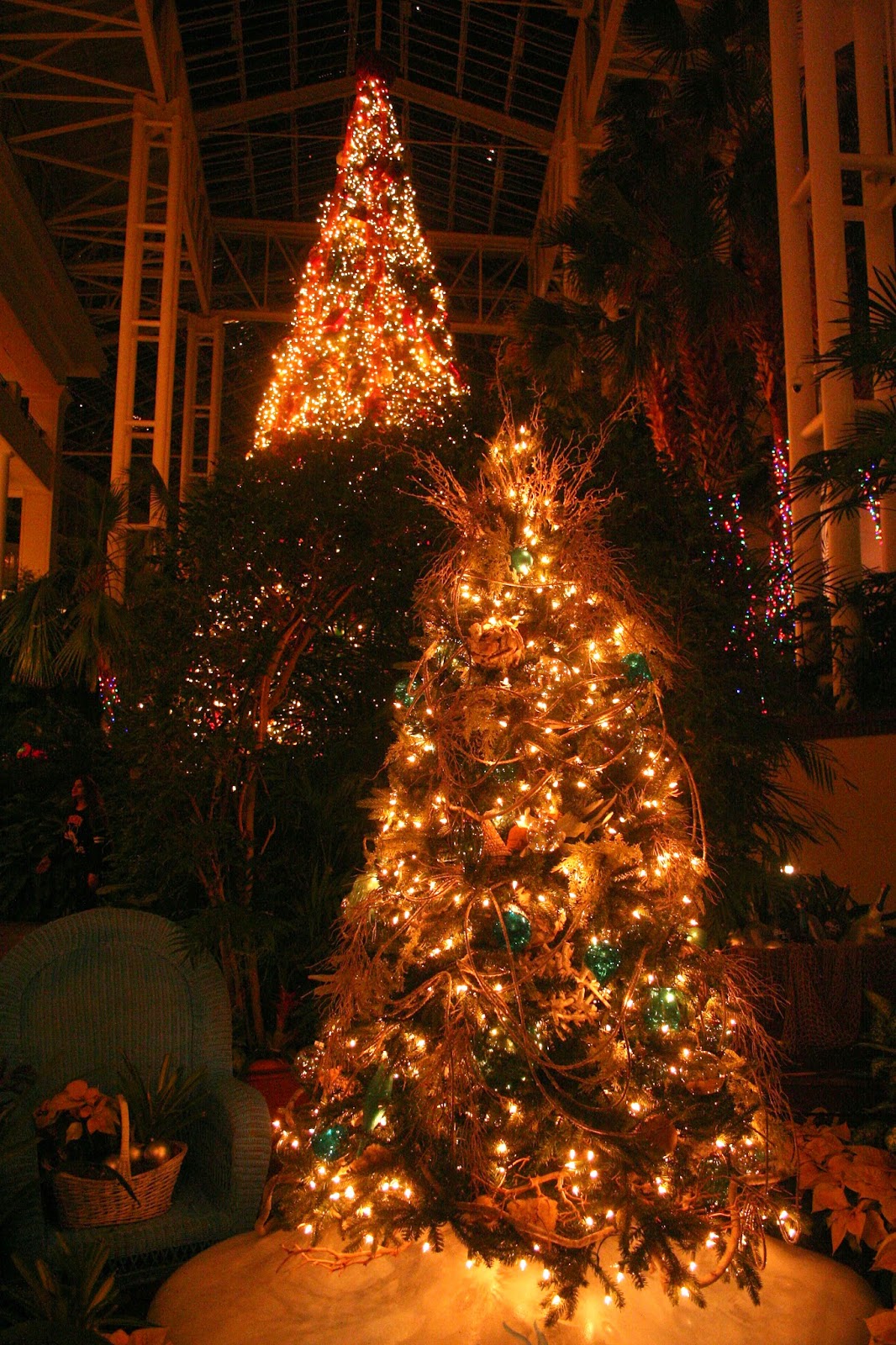 Meanderings The Christmas Lights At Opryland Hotel