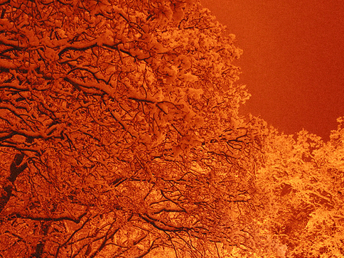 Orange sne - et digt