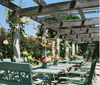 Fotos de Techos: mayo 2013