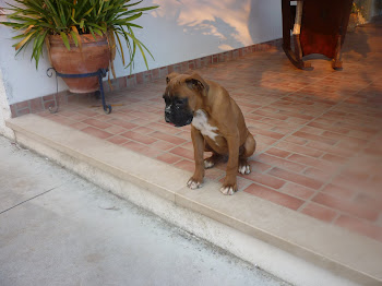 O Rui Patricio com 5 meses