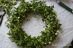How to make a boxwood wreath.