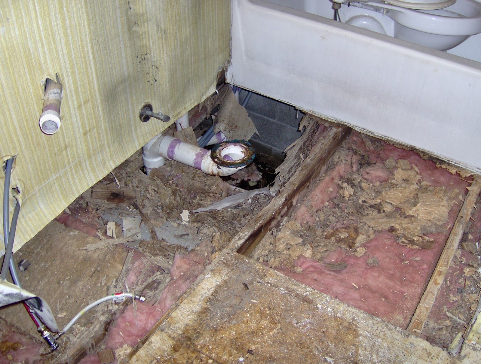 Salisbury News Toxic Mold At Apartment Complex In Salisbury?