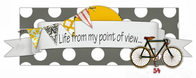 Life from my point of view...