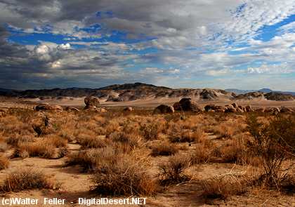mojave ca to rio jondo ca mojave ca to rio jondo ca