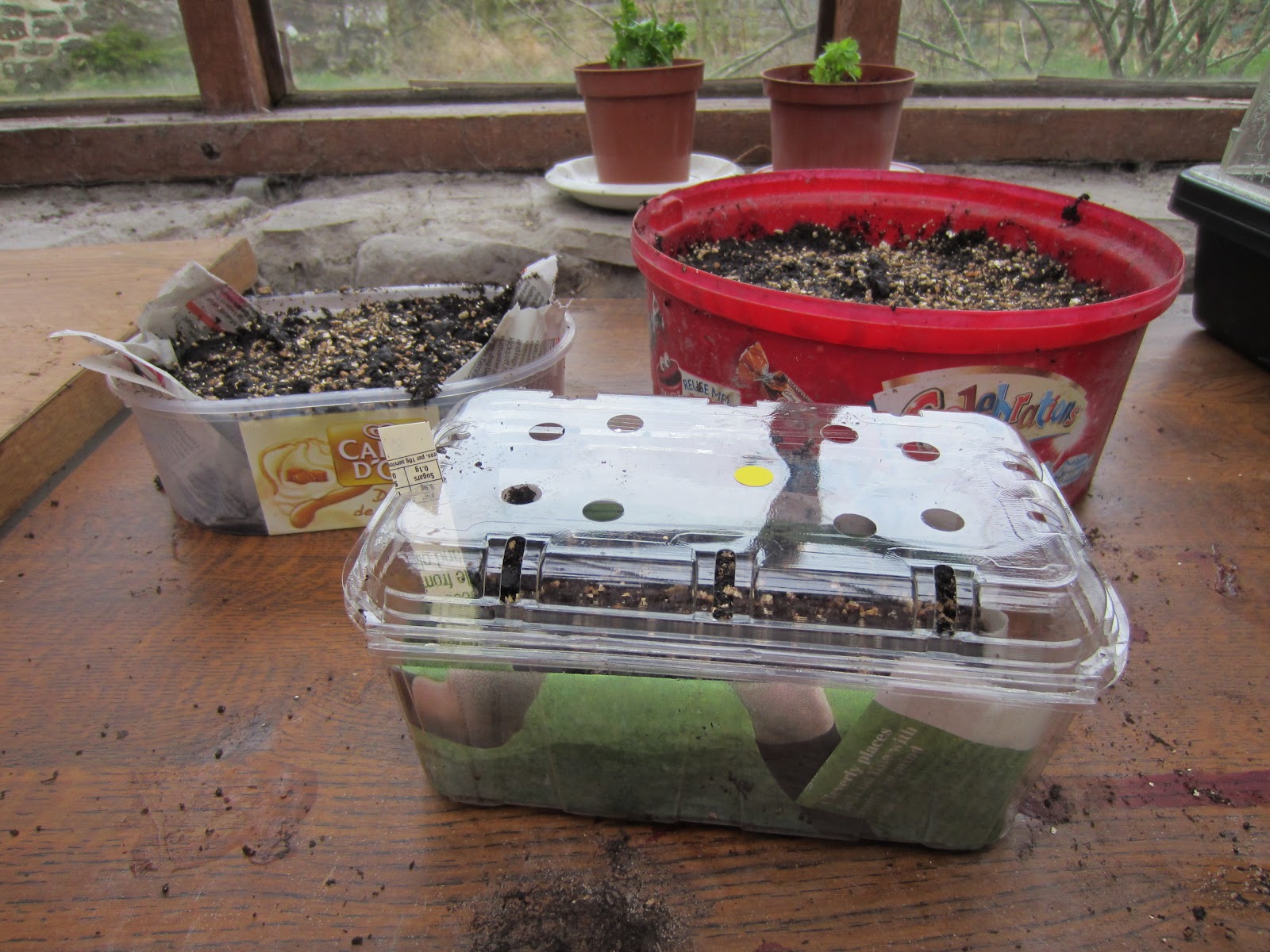 The Bridge Cottage Way Reduce Plastic Consumption by Reusing Plastic