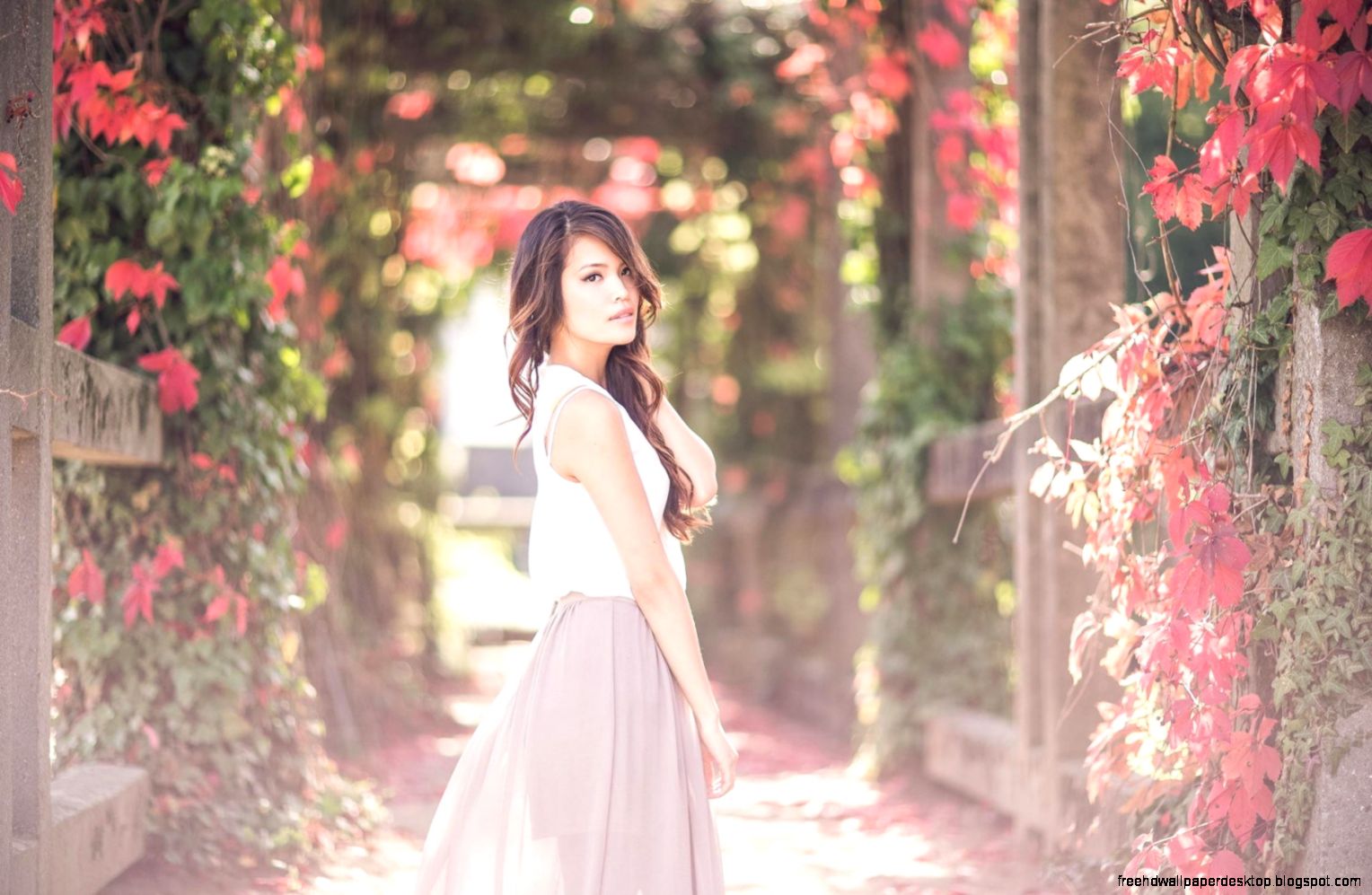 Lovely Girl Bokeh Photo HD Wallpaper   FreeWallsUp Lovely Girl Bokeh Photo HD Wallpaper   FreeWallsUp