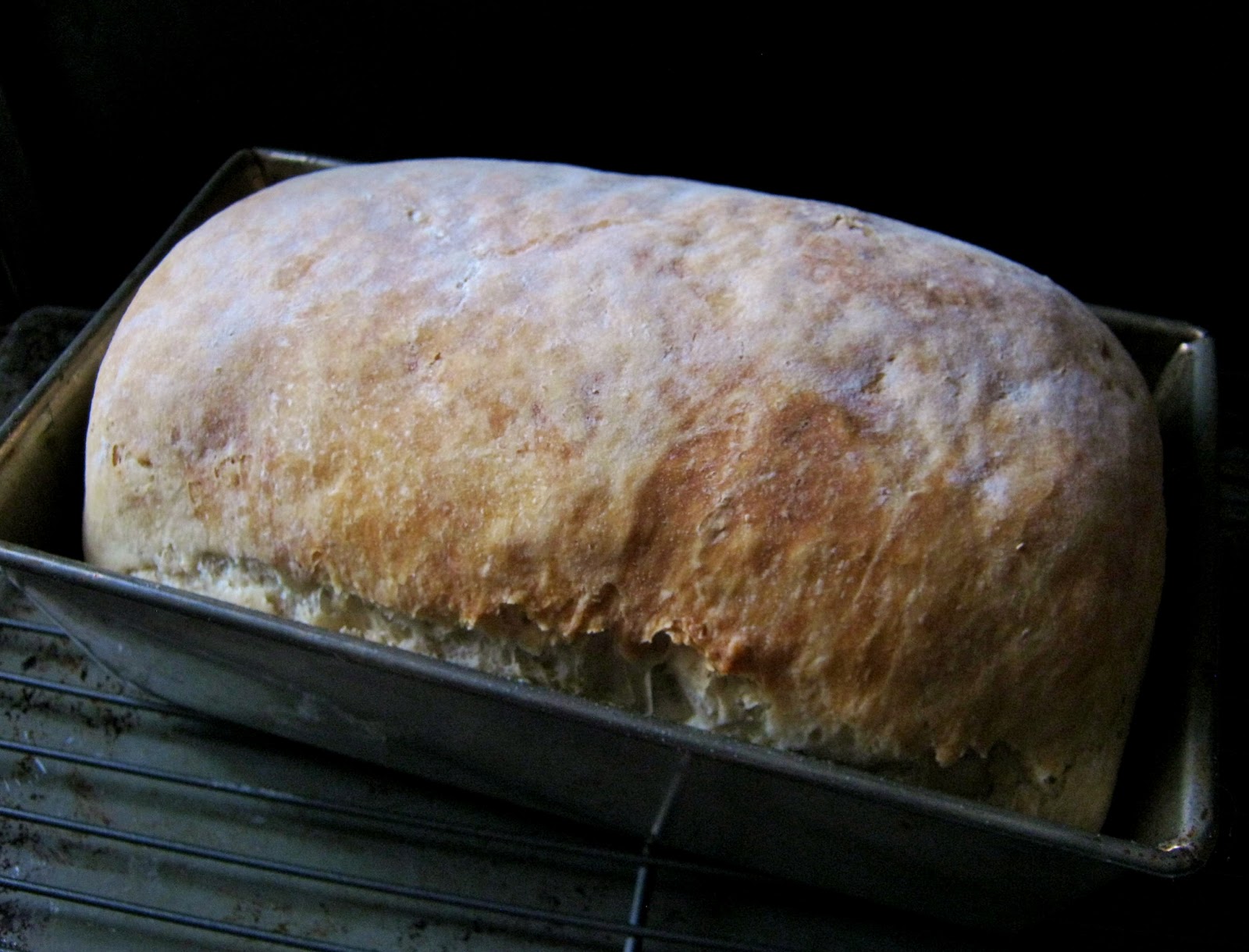 Sarah's Culinary Adventure NoKnead White Bread