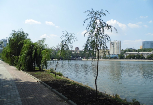 В Донецке между бульваром Шевченко и проспектом Ильича появилась первая специализированная велодорожка 7 %D0%92+%D0%94%D0%BE%D0%BD%D0%B5%D1%86%D0%BA%D0%B5+%D0%BD%D0%B0+%D0%B1%D1%83%D0%BB%D1%8C%D0%B2%D0%B0%D1%80%D0%B5+%D0%A8%D0%B5%D0%B2%D1%87%D0%B5%D0%BD%D0%BA%D0%BE+%D0%BF%D0%BE%D1%8F%D0%B2%D0%B8%D0%BB%D0%B0%D1%81%D1%8C+%D0%B2%D0%B5%D0%BB%D0%BE%D0%B4%D0%BE%D1%80%D0%B6%D0%BA%D0%B0+6