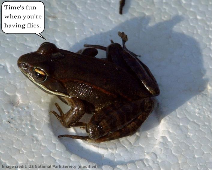 A Frog with Antifreeze? Evolutionary Truth by Piltdown Superman