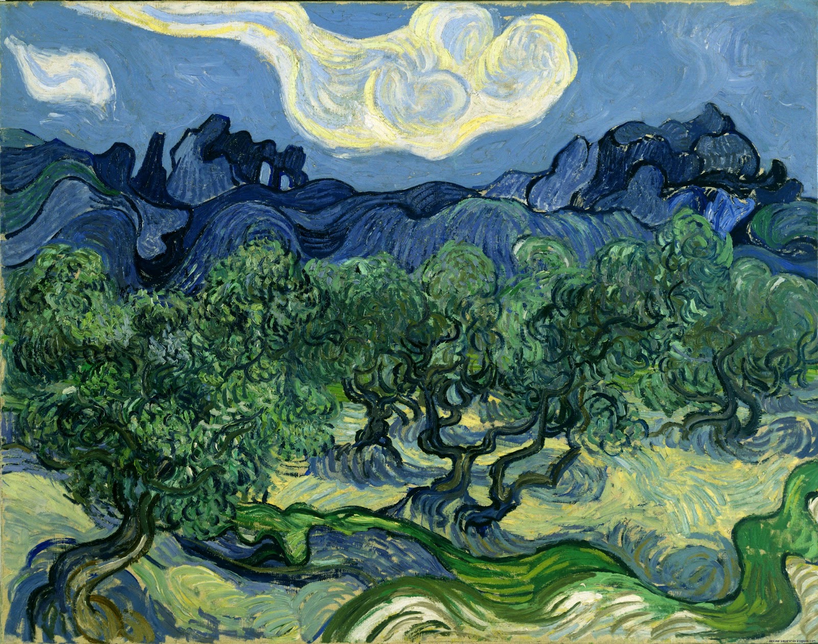 By Van Gogh Olive Trees By Van Gogh Olive Trees