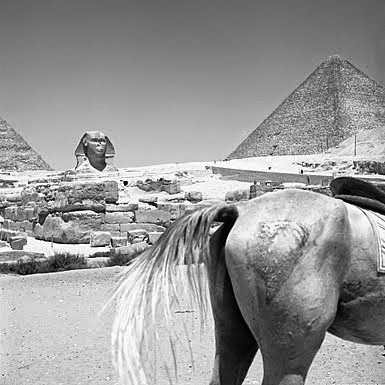 Die Kunst Der Beobachtung Die Notwendige Wissenschaft 3