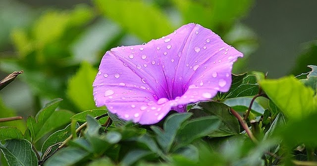 Lirik Lagu Rohani Terbaru PertolonganMu Citra