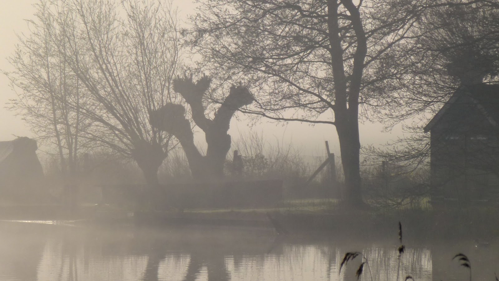 Landschap In De Mist [1988]