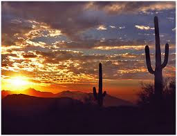 The gorgeous Arizona desert
