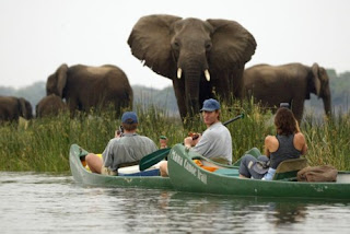 Alemanha contra a nacionalização dos safaris no Zimbabwe Alemanha contra a nacionalização dos safaris no Zimbabwe