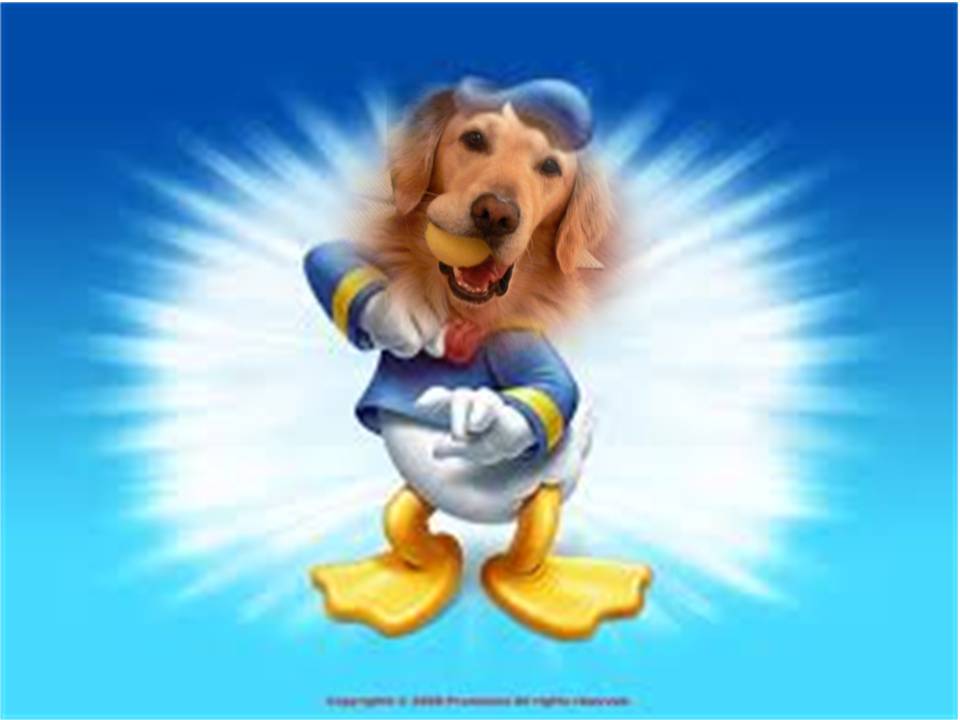cartoon mom duck