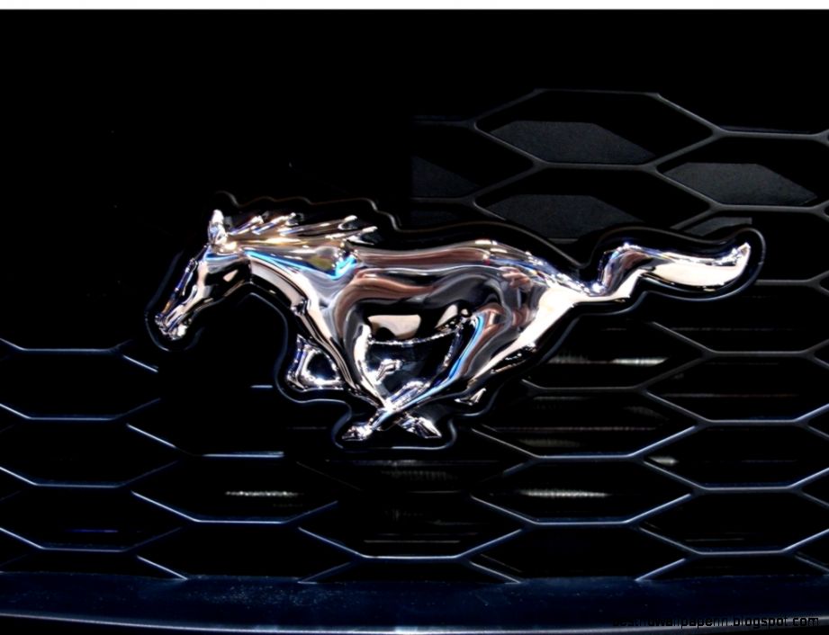 Ford Mustang Logo 5 1024x768 Ford Mustang Logo 5 1024x768