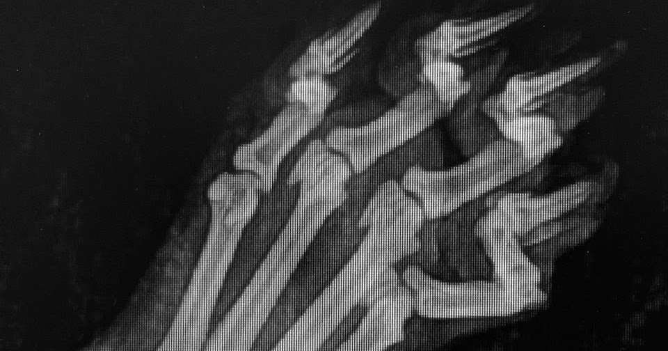 Airplane Life Cat Paw XRay