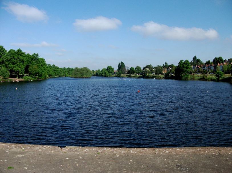 Vinnyman's Birding and Nature Blog. Brookvale Park and Rookery Park