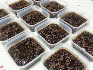 CHOC MOIST CAKES IN CONTAINERS