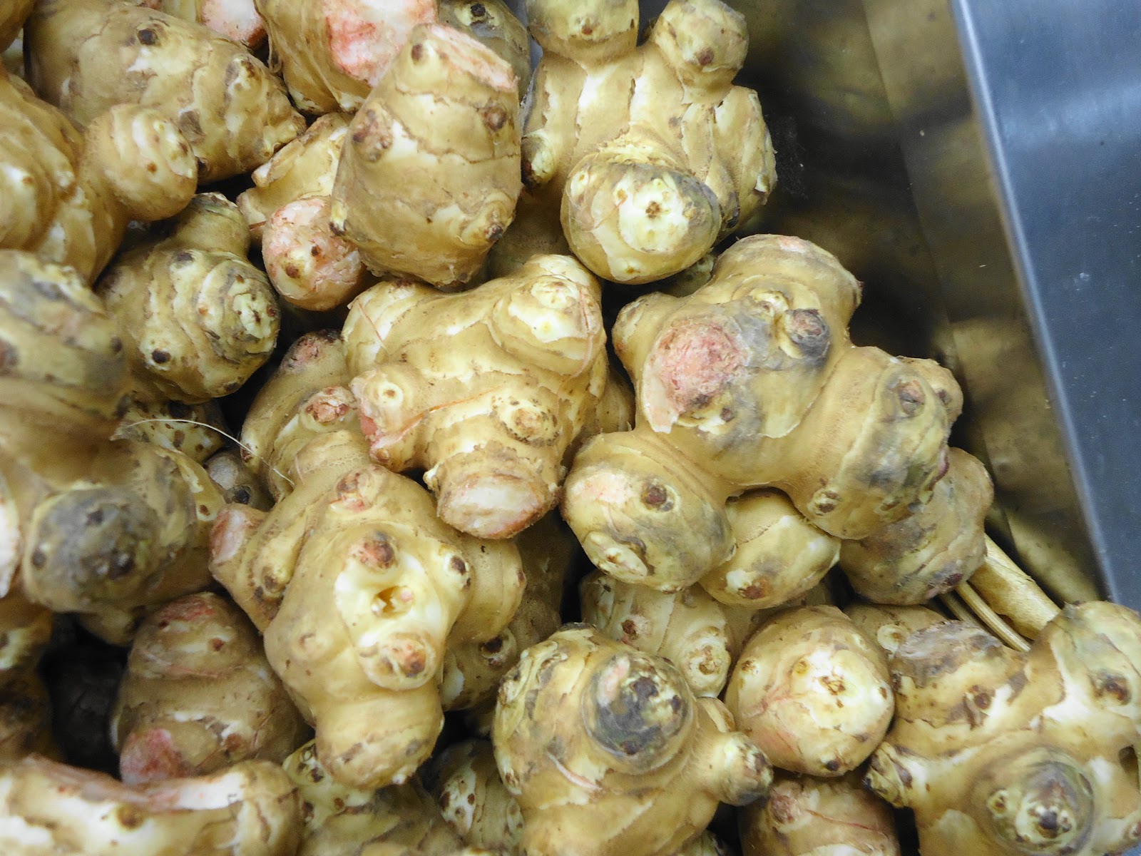 Eat the Internet: Roots and Tubers and Squash, Oh My!
