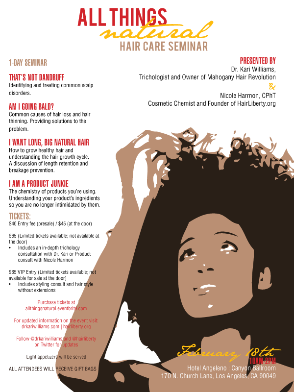 The Retro Natural All Things Natural Hair Care Seminar