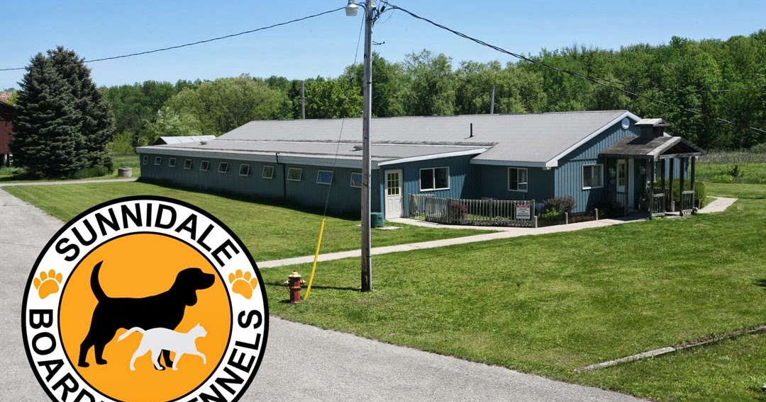 Sunnidale Boarding Kennels More like a Dog & Cat Resort at Sunnidale