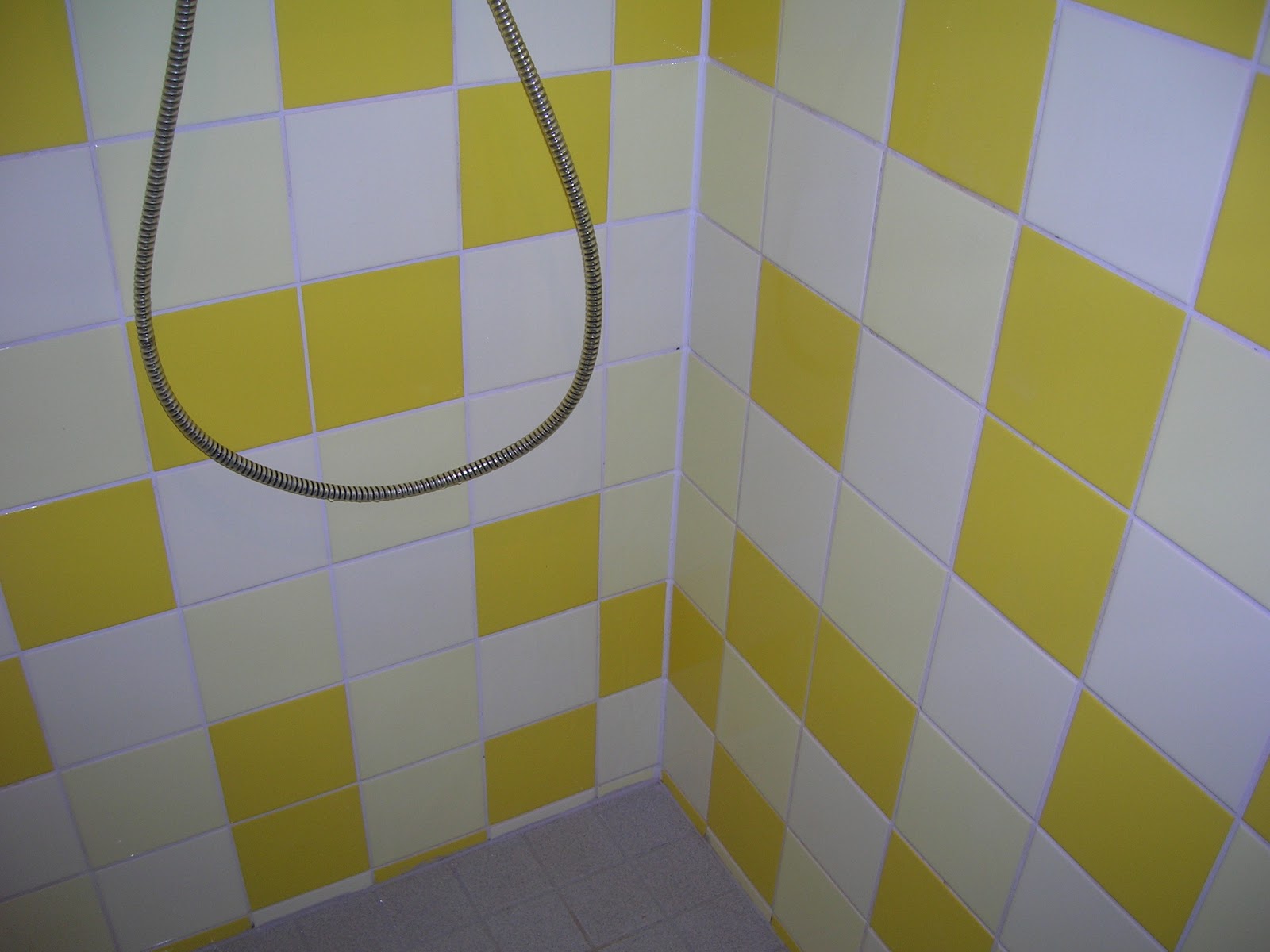 Inhaalslag in 365 dagen: #63/365 voegen in de douche schoonmaken