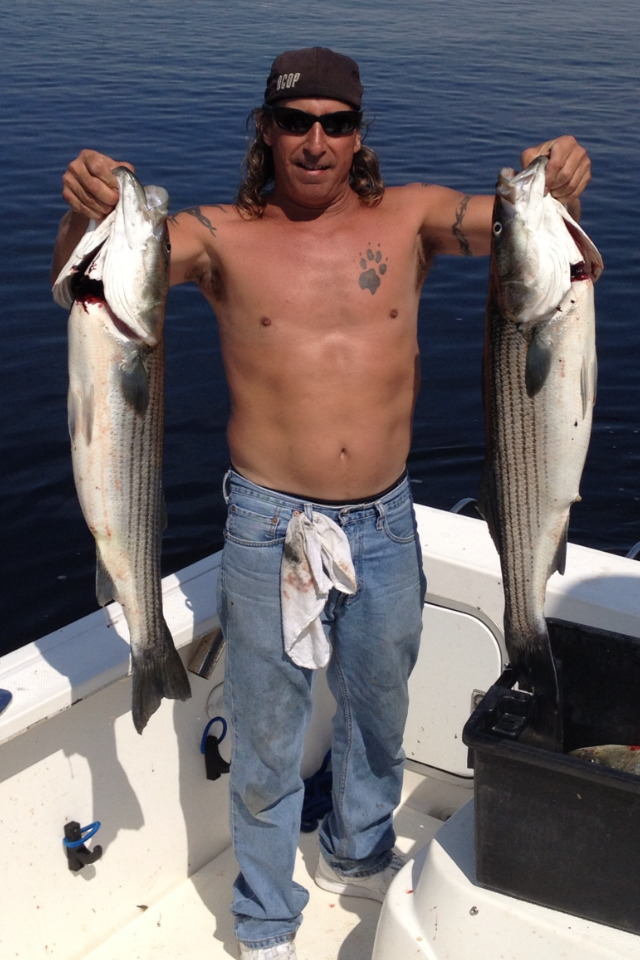 no fluke fishing Research to identify mercury levels in scup