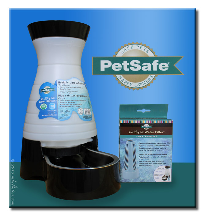 Barking from the Bayou