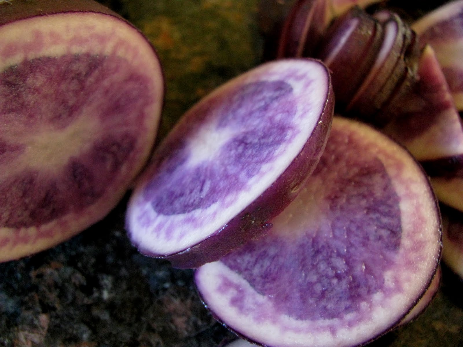 Purple Potatoes! The Elliott Homestead