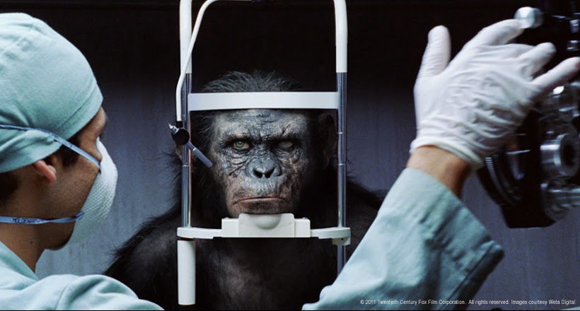 Archives Of The Apes: Rise Of The Planet Of The Apes (2011) Part Nineteen