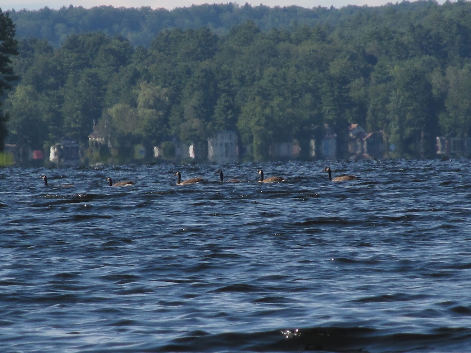Recreational Kayaking in Maine Highland Lake Falmouth/Windham, Maine