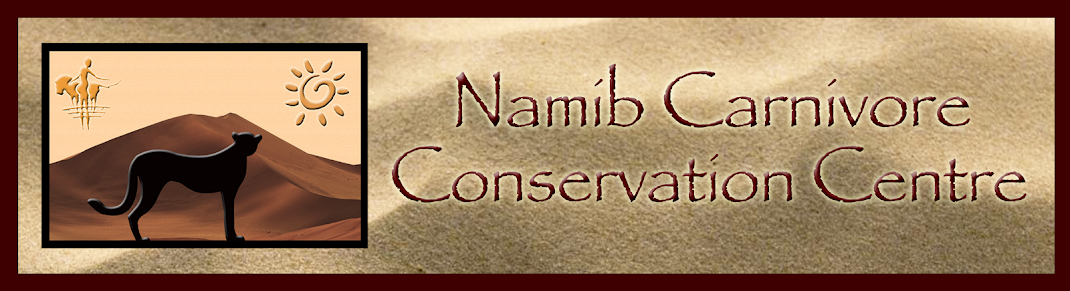 The Namib Carnivore Conservation Centre