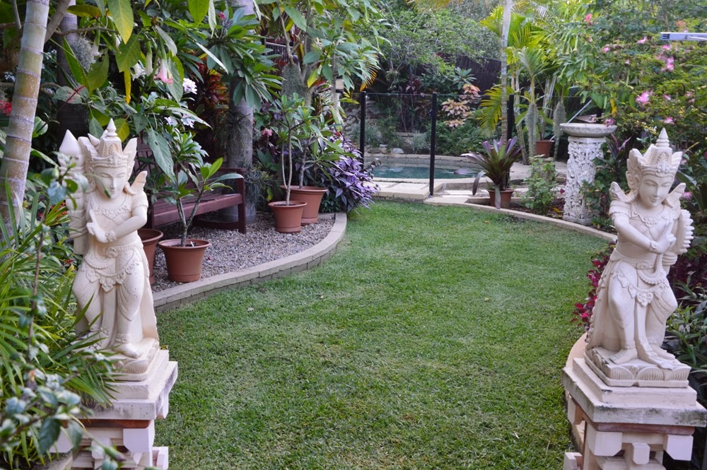 Tropical Breeze is a Sydney tropical garden filled with a wide variety